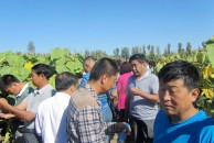 2016年农民会