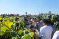 2016年农民会